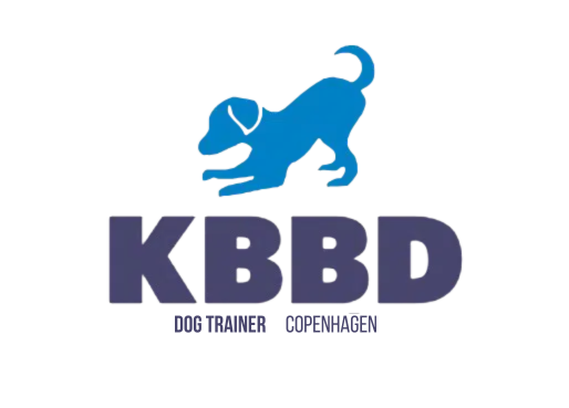 Dog training in Copenhagen | Private Dog Trainer